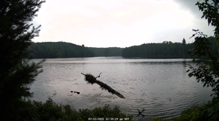 Image from 2025-07-12