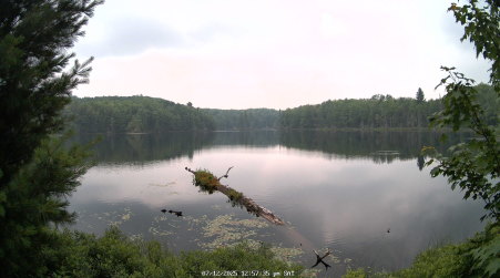 Image from 2025-07-12