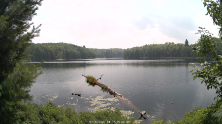 Image from 2025-07-12