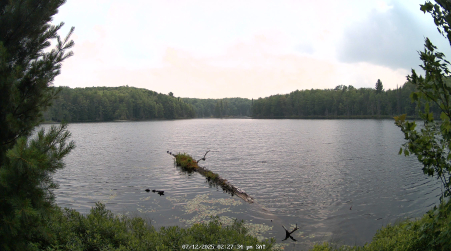 Image from 2025-07-12