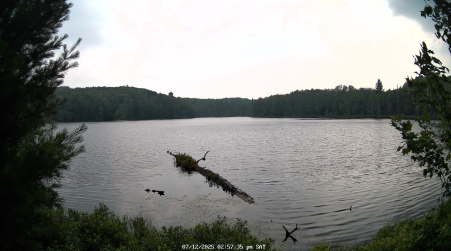 Image from 2025-07-12
