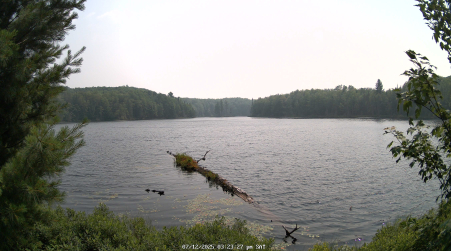 Image from 2025-07-12