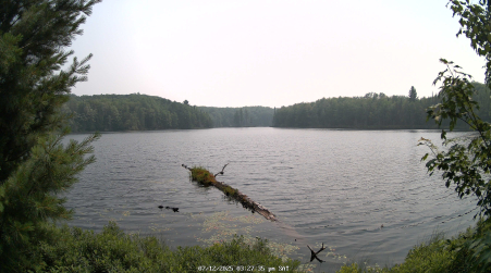 Image from 2025-07-12