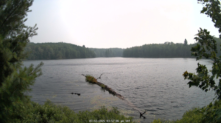 Image from 2025-07-12