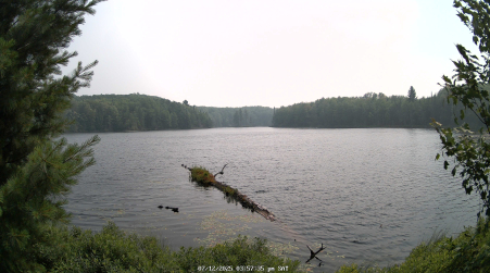 Image from 2025-07-12