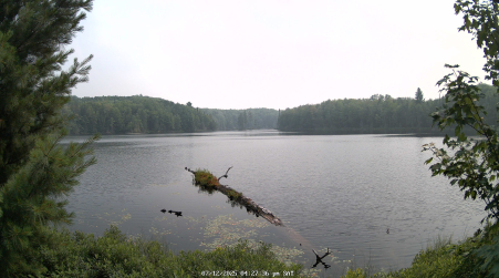 Image from 2025-07-12
