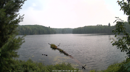 Image from 2025-07-12