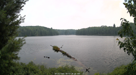 Image from 2025-07-12