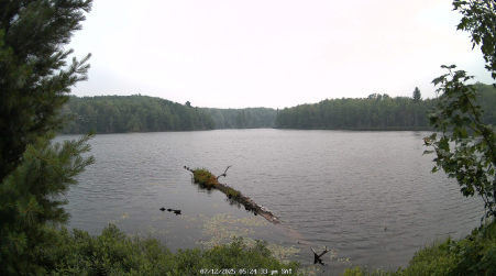 Image from 2025-07-12