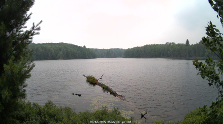 Image from 2025-07-12