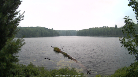 Image from 2025-07-12