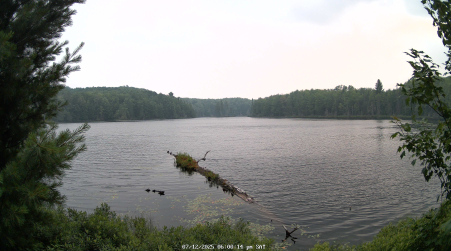 Image from 2025-07-12