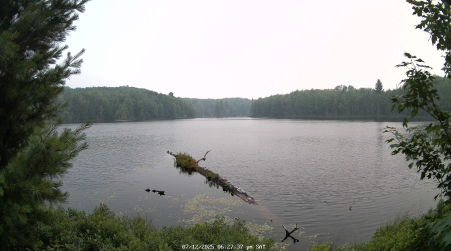 Image from 2025-07-12
