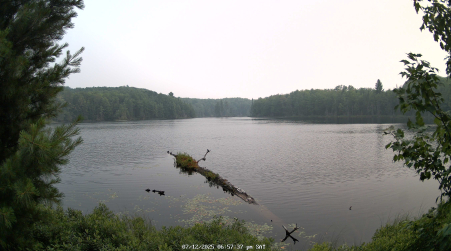 Image from 2025-07-12