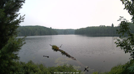 Image from 2025-07-12