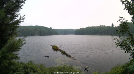 Image from 2025-07-12
