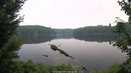 Image from 2025-07-12