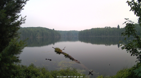 Image from 2025-07-12