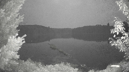 Image from 2025-07-12