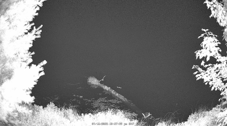 Image from 2025-07-12