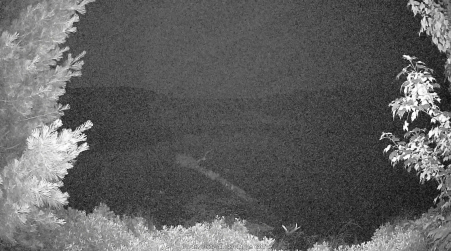 Image from 2025-07-12