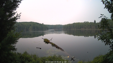Image from 2025-07-13