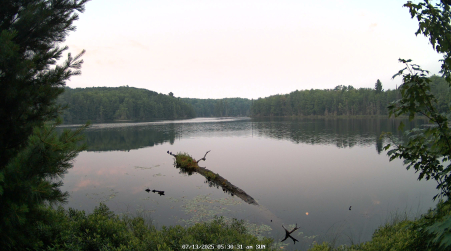 Image from 2025-07-13