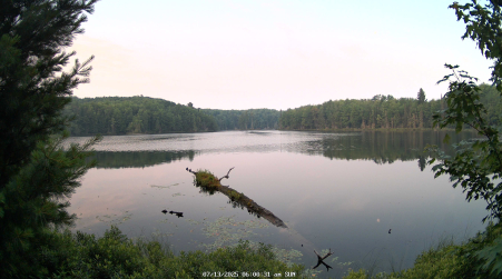 Image from 2025-07-13
