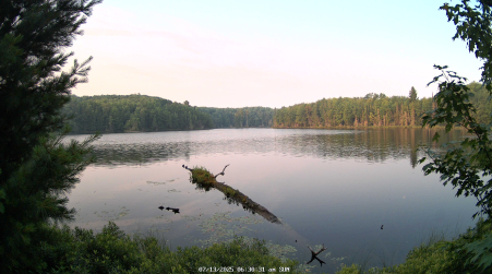 Image from 2025-07-13