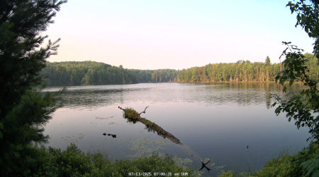Image from 2025-07-13