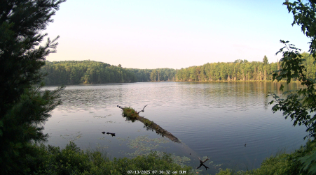 Image from 2025-07-13