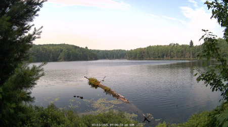 Image from 2025-07-13
