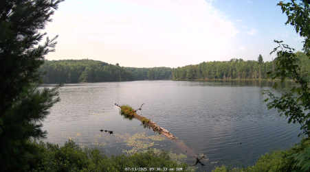 Image from 2025-07-13