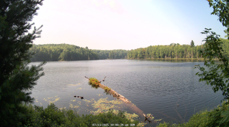 Image from 2025-07-13