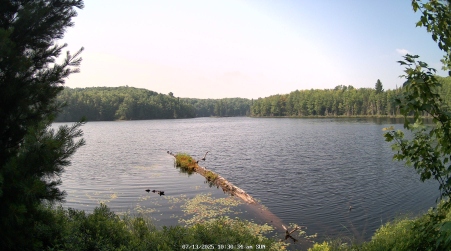 Image from 2025-07-13