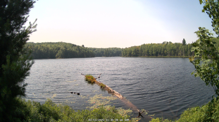 Image from 2025-07-13