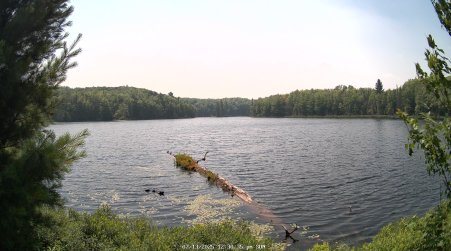 Image from 2025-07-13