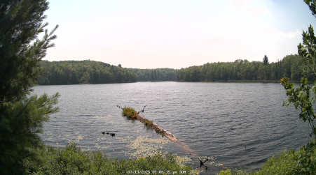 Image from 2025-07-13