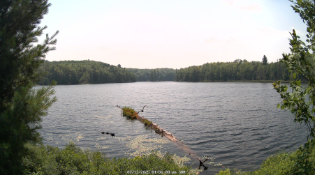 Image from 2025-07-13
