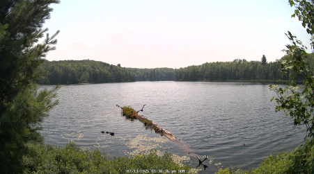 Image from 2025-07-13