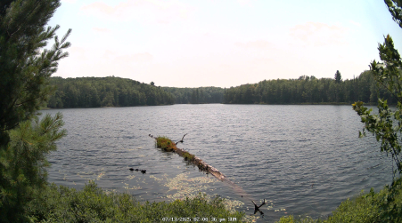 Image from 2025-07-13