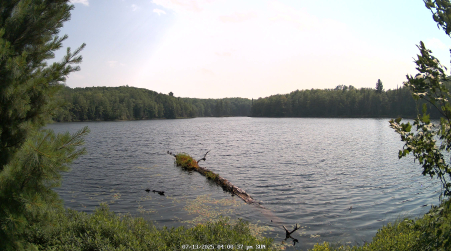 Image from 2025-07-13
