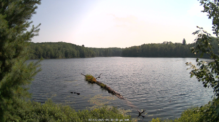 Image from 2025-07-13