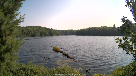 Image from 2025-07-13