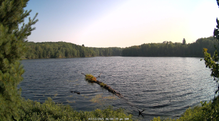 Image from 2025-07-13