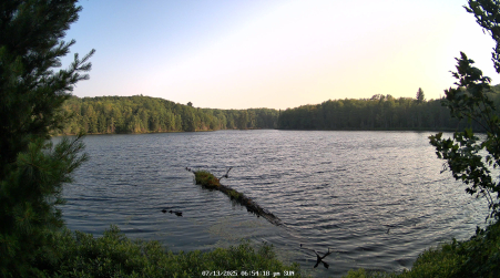 Image from 2025-07-13