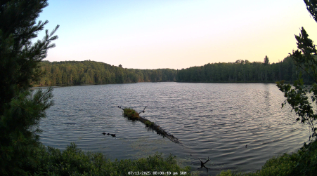 Image from 2025-07-13