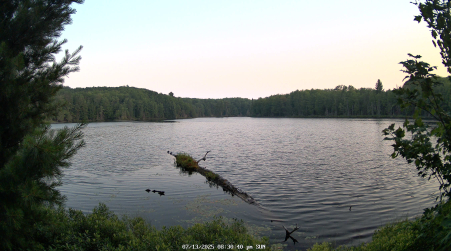 Image from 2025-07-13