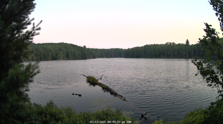 Image from 2025-07-13