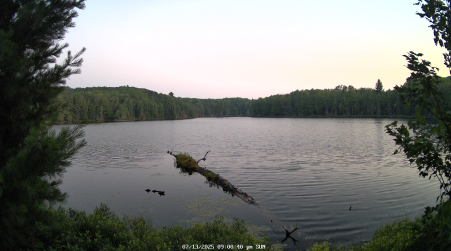 Image from 2025-07-13